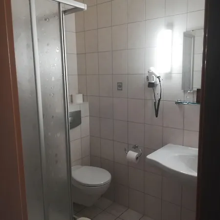 Zum Goldenen Loewen Hotel 3*